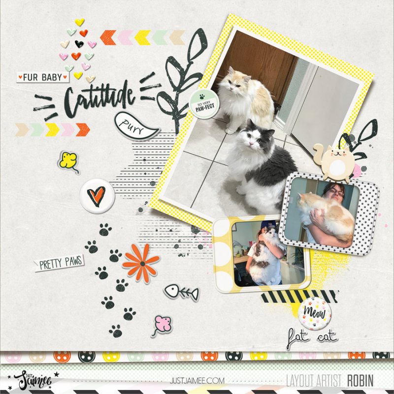 Robin_Cats OL TLP