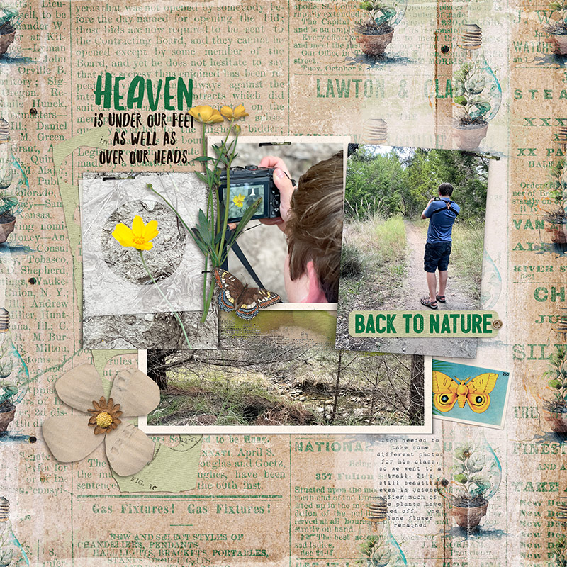 Robin_Everyday-Is-Earth-Day-800