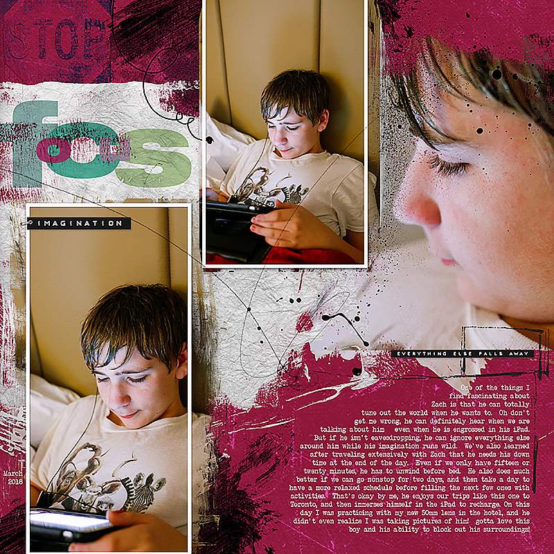 Robin_Focus-800