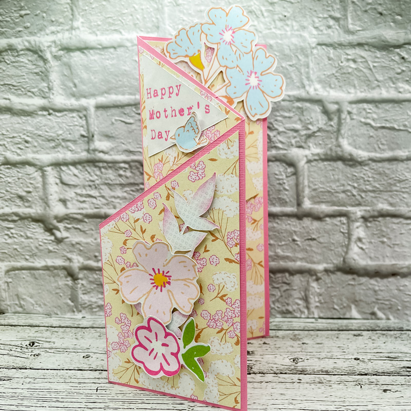 Robin_Hello Sunshine 800