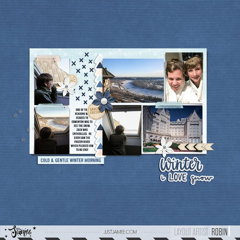 Robin_Snow-Fun-TLP