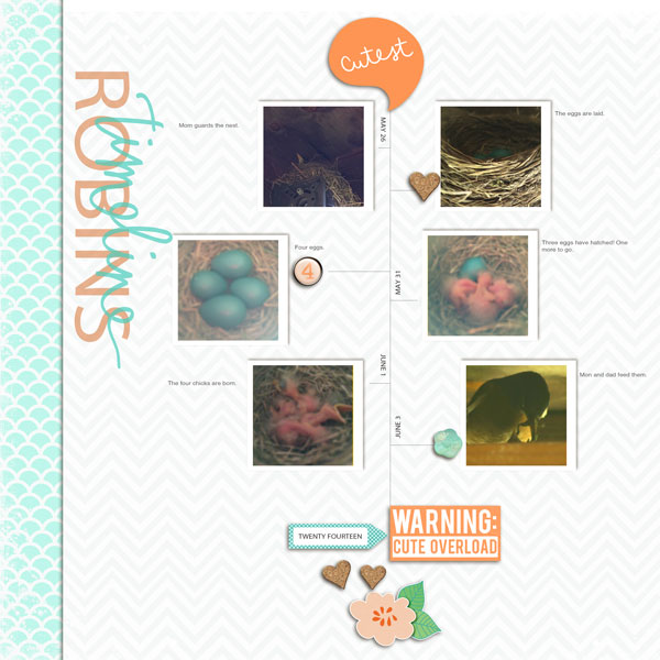 Robins Timeline