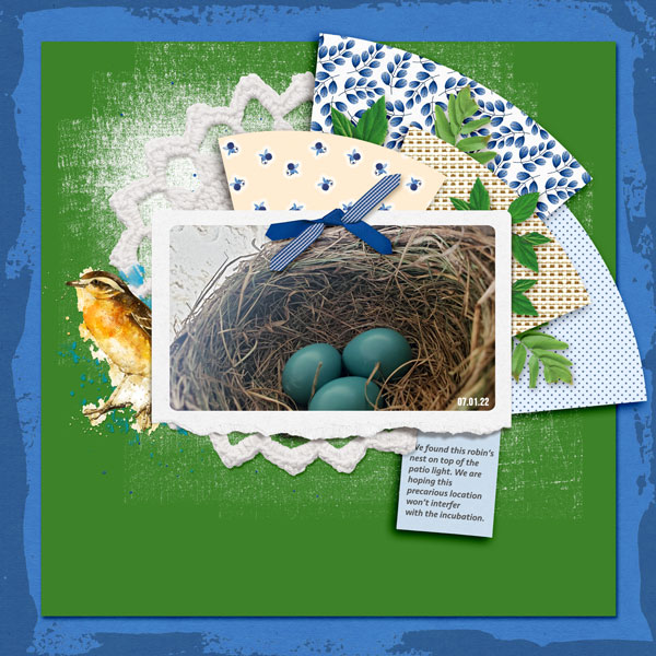 Robins_Eggs