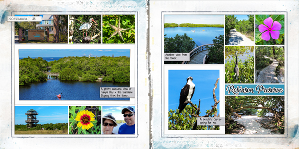 Robinson Preserve