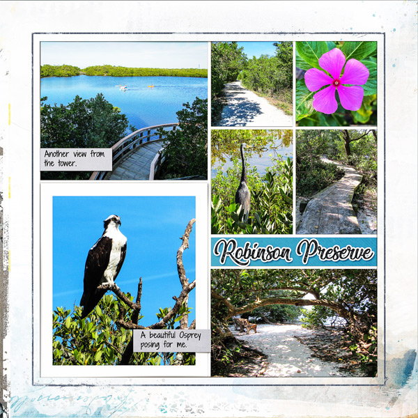 Robinson Preserve_right