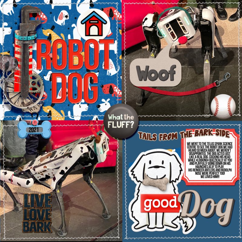 Robot Dog