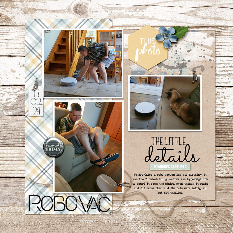 RoboVac