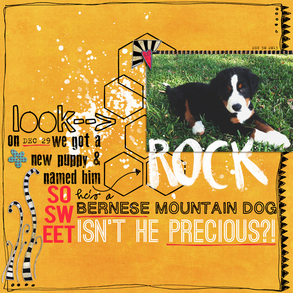 Rock