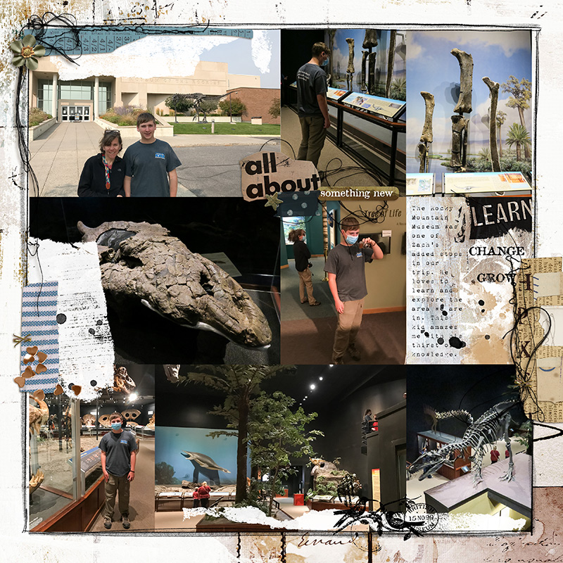 Rocky Mountain Museum