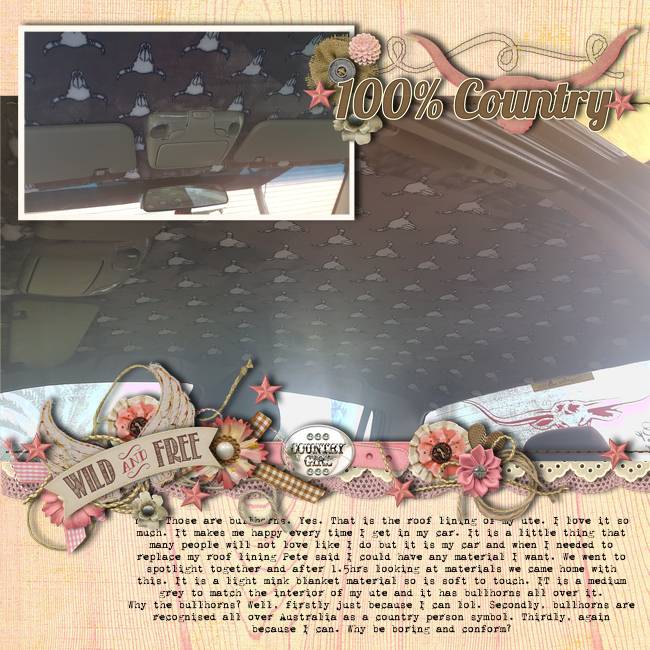 Roof-lining