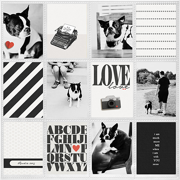 Rookie-2015