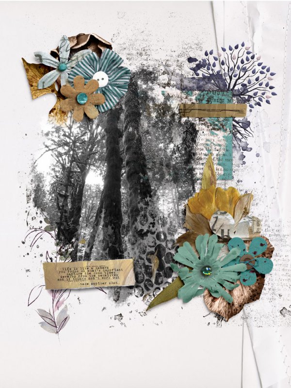 Roots