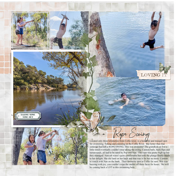 rope swing lp