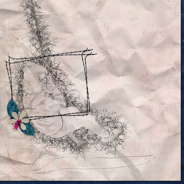 Rope Swing