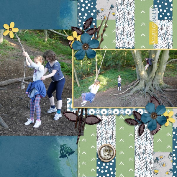 Rope Swing