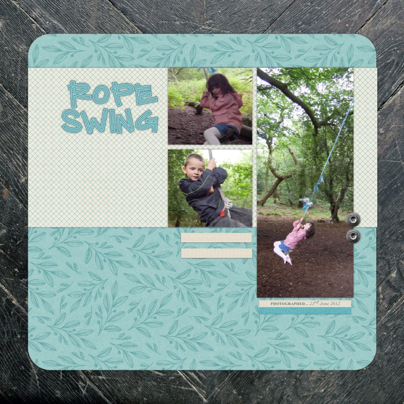 Rope Swing