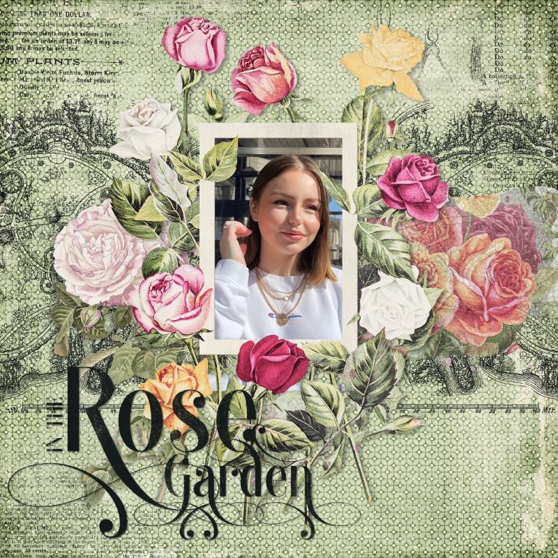 Rose garden