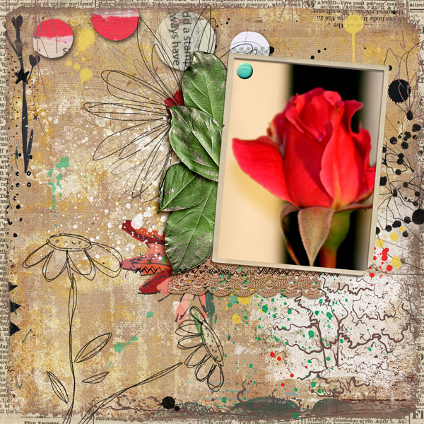 Rose