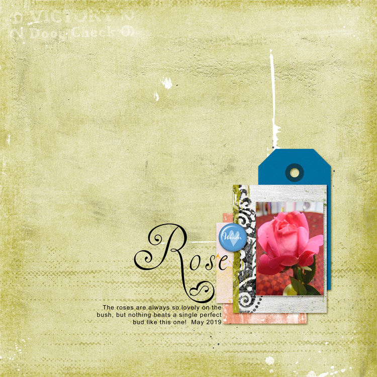 Rose