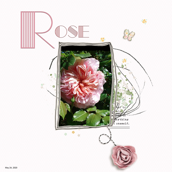 Rose