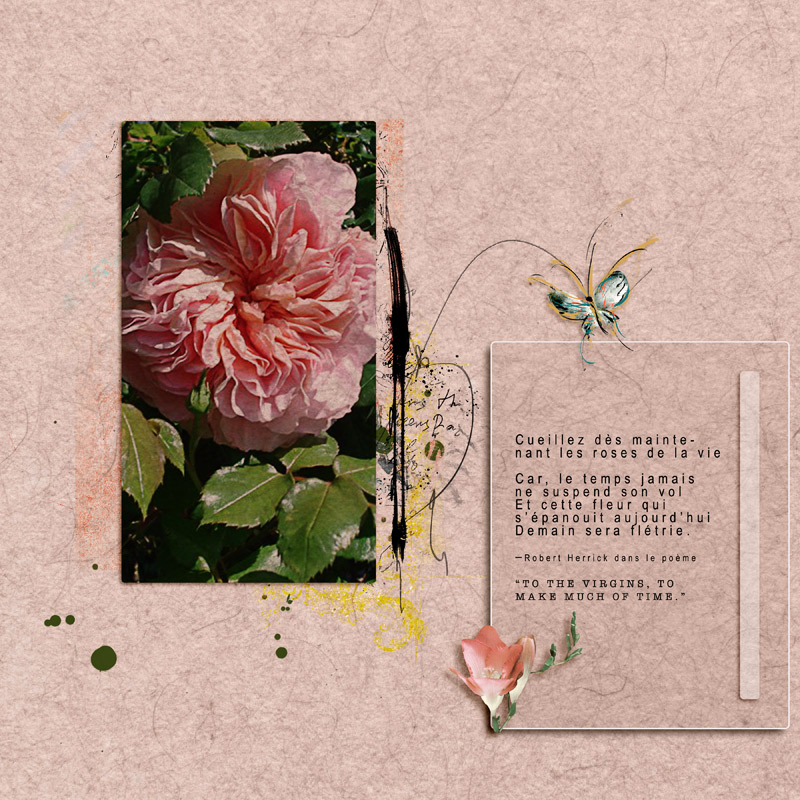 Rose