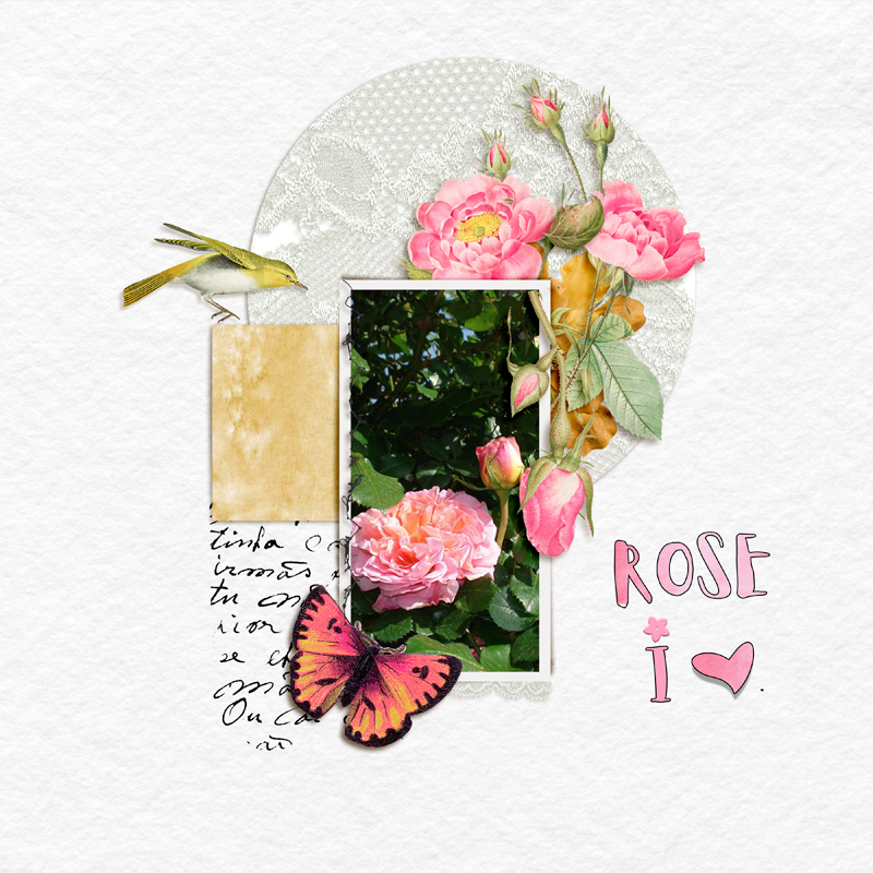 Rose