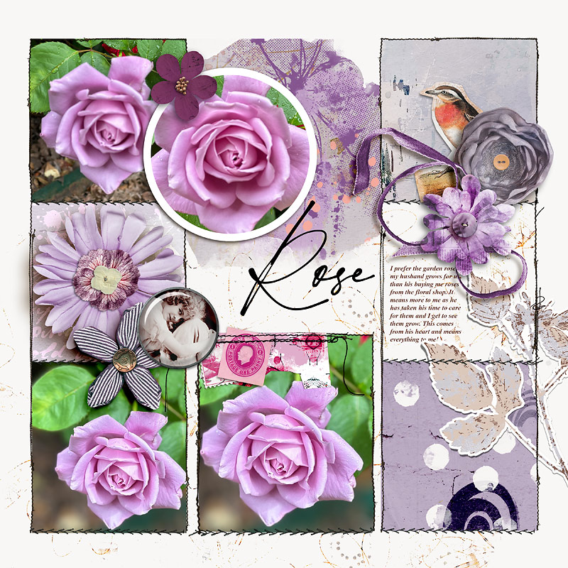 Rose
