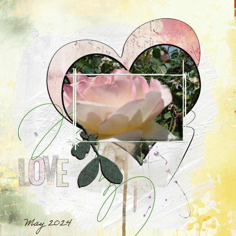 Rose
