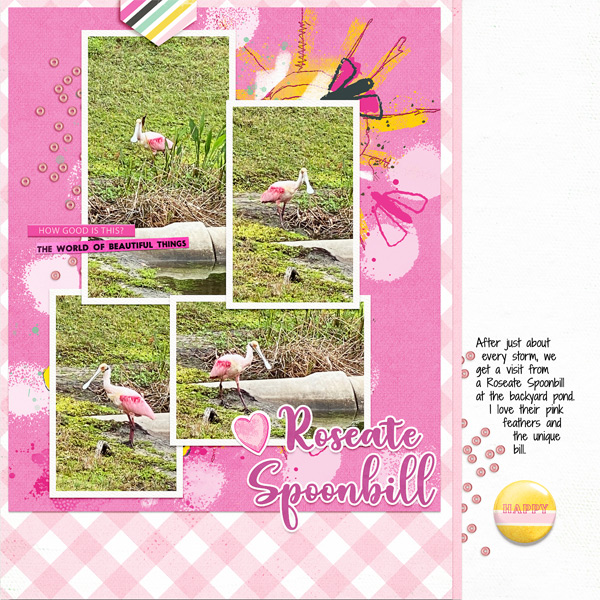 Roseate Spoonbill