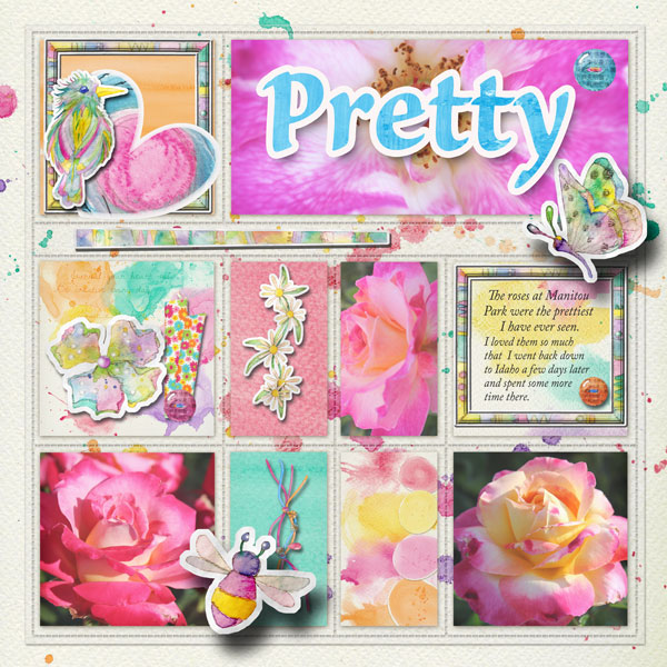 Roses in Idaho