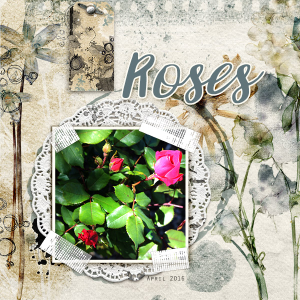 Roses