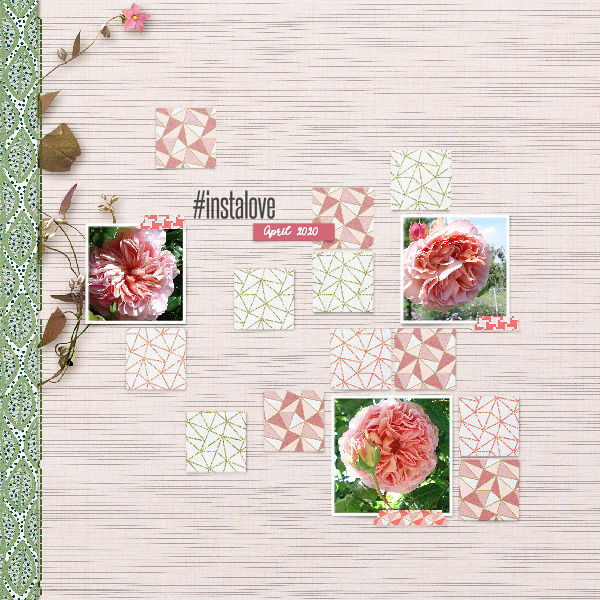 Roses