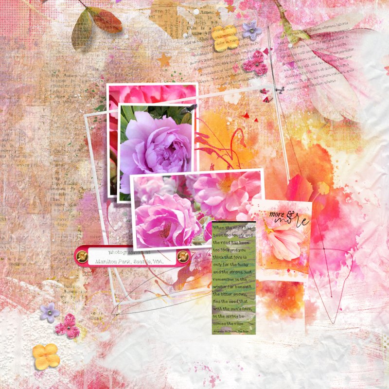 Roses