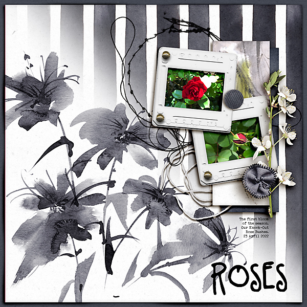 Roses