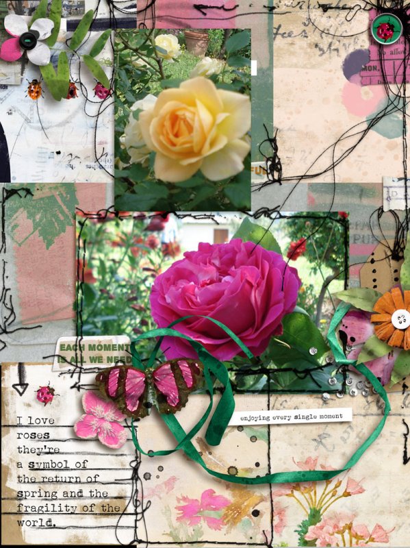 Roses