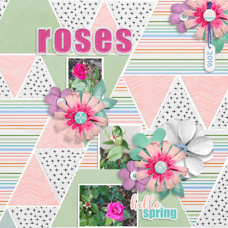Roses