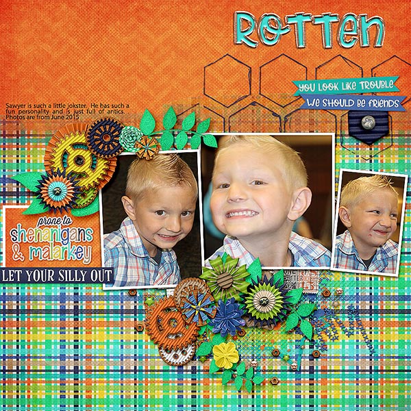 Rotten_Sawyer_June-2015