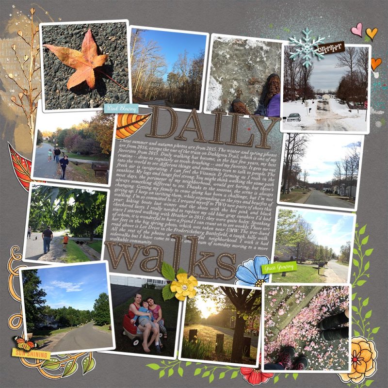 Routine - Daily Walks