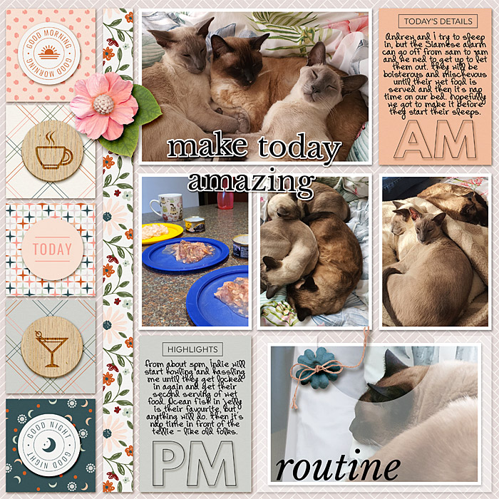 Routine