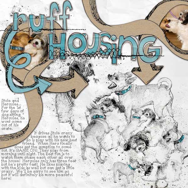 Ruff Housing