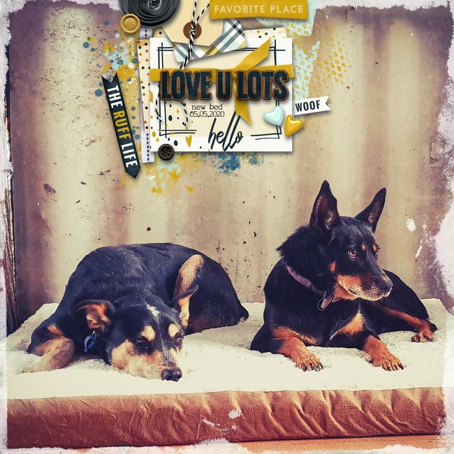 Ruff-life