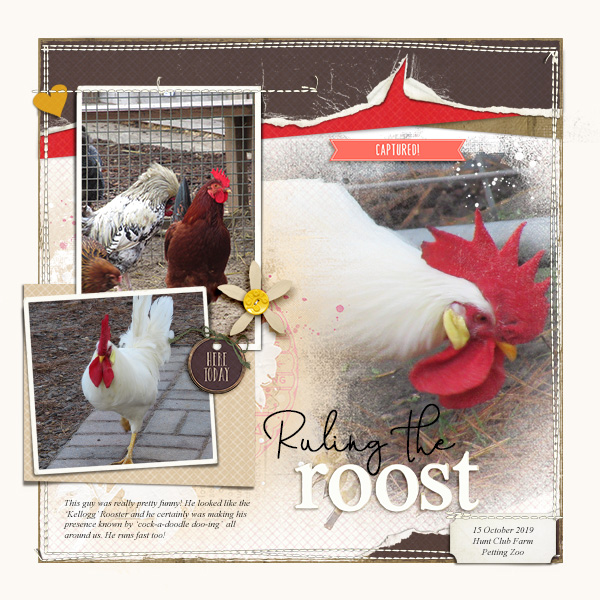 Ruling the Roost