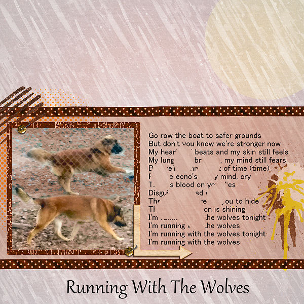Running With The Wolves