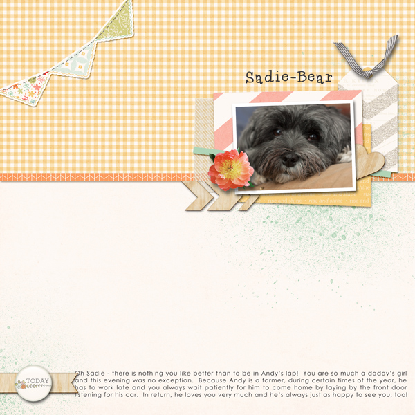Sadie Bear