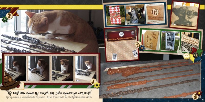 Sadie Chooses the Wand