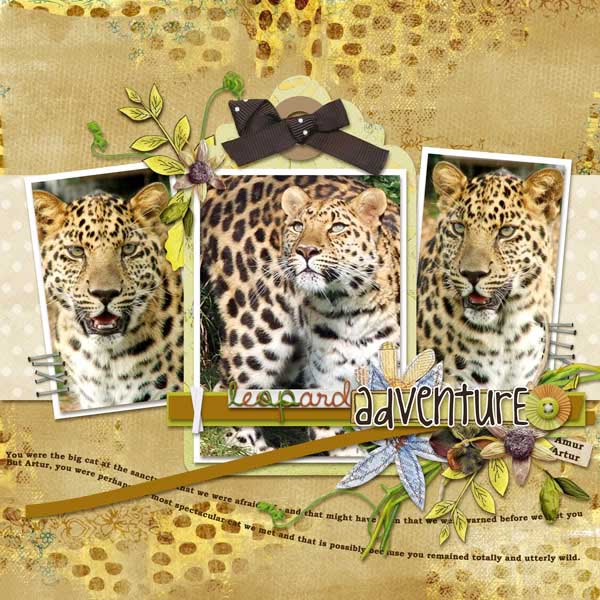 Safari Adventure