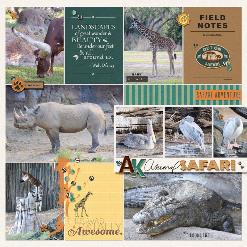 Safari- April 2017