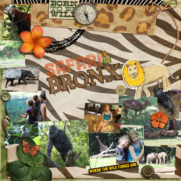 Safari in the Bronx 1