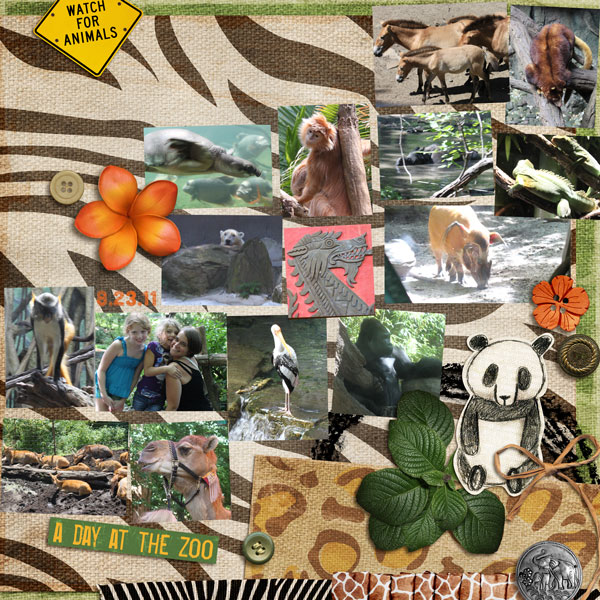 Safari in the Bronx 2