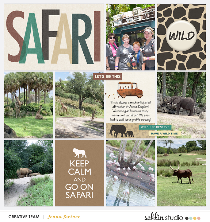 Safari June 2019